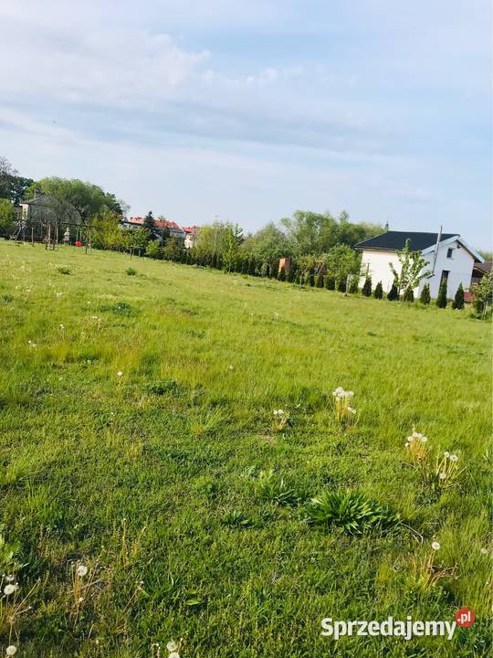 Ogródek działkowy ROD PSZCZÓŁKA GLIWICE ŁABĘDY