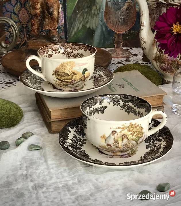 Filiżanka Royal Worcester Palissy porcelana Myszków