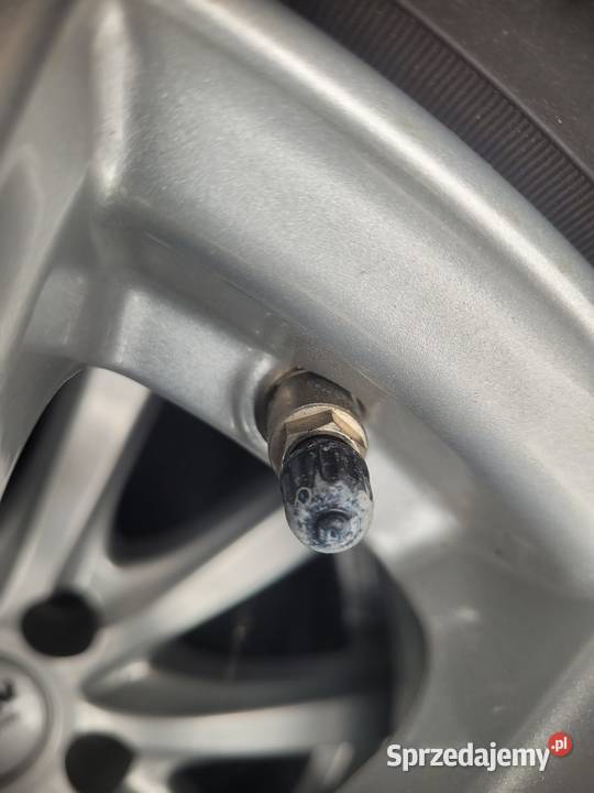 Felgi Koła VW Touran Passat Octavia Seat 16 Pińczów