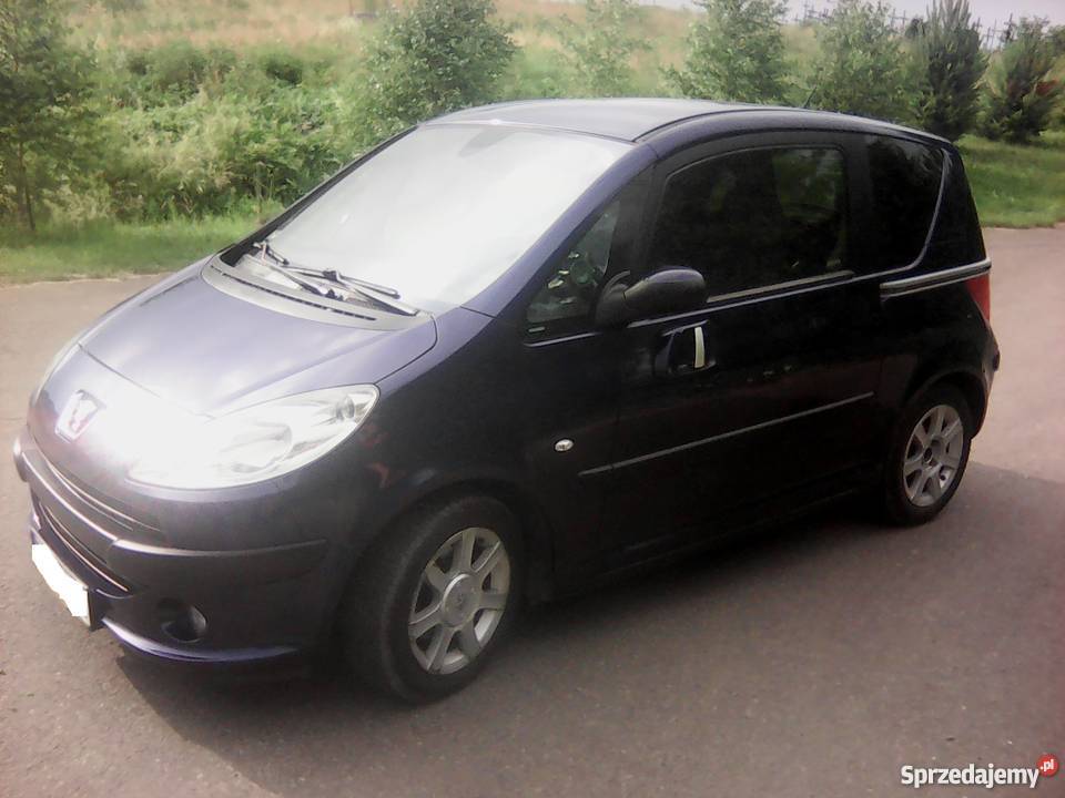 Peugeot 1007 14 BenzynaLPG nieuszkodzony podkarpackie Srogów Górny