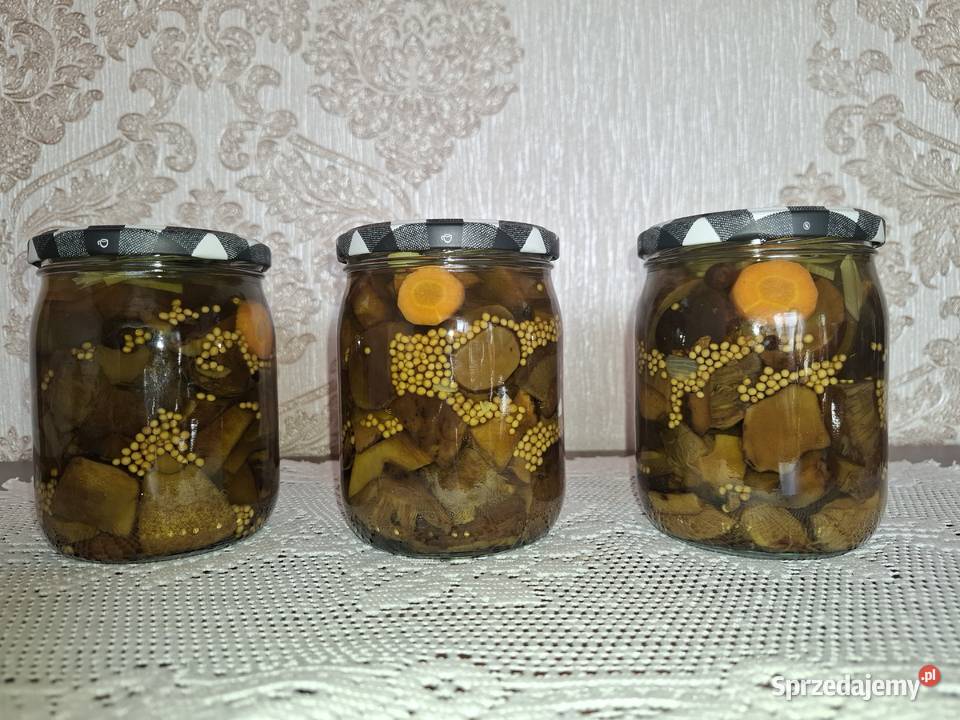 Borowiki podgrzybkiborowiki ceglastopore śląskie Czyżowice sprzedam