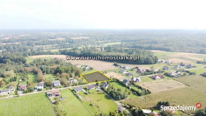 Grunt Zebrzydowice 4984m2 1141m2 sprzedam