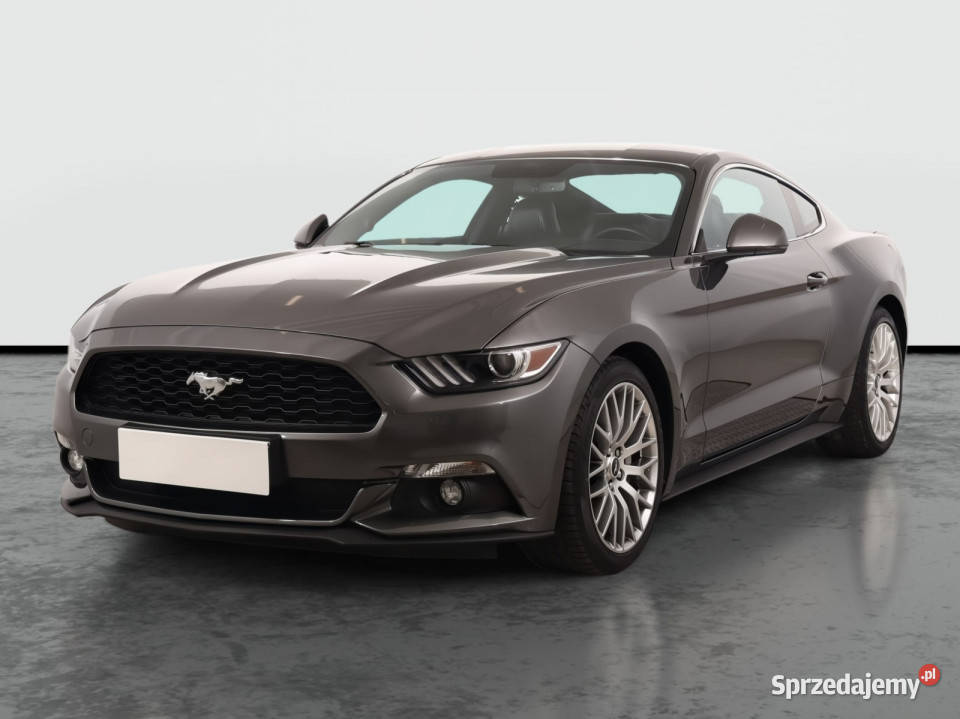 Ford Mustang 23 Ecoboost Katowice