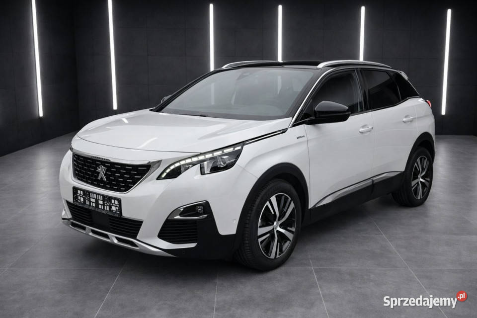 Peugeot 3008 16 Żabno