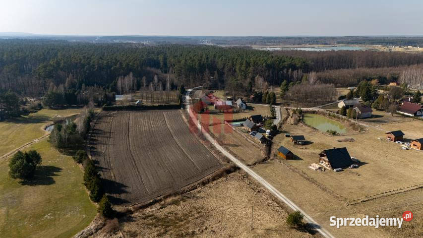 sprzedaży działki Krzywa 3100m2