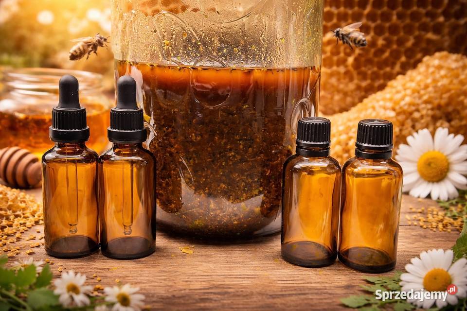 Propolis kit pszczeli z własnej pasieki butelka Sędziszów Małopolski