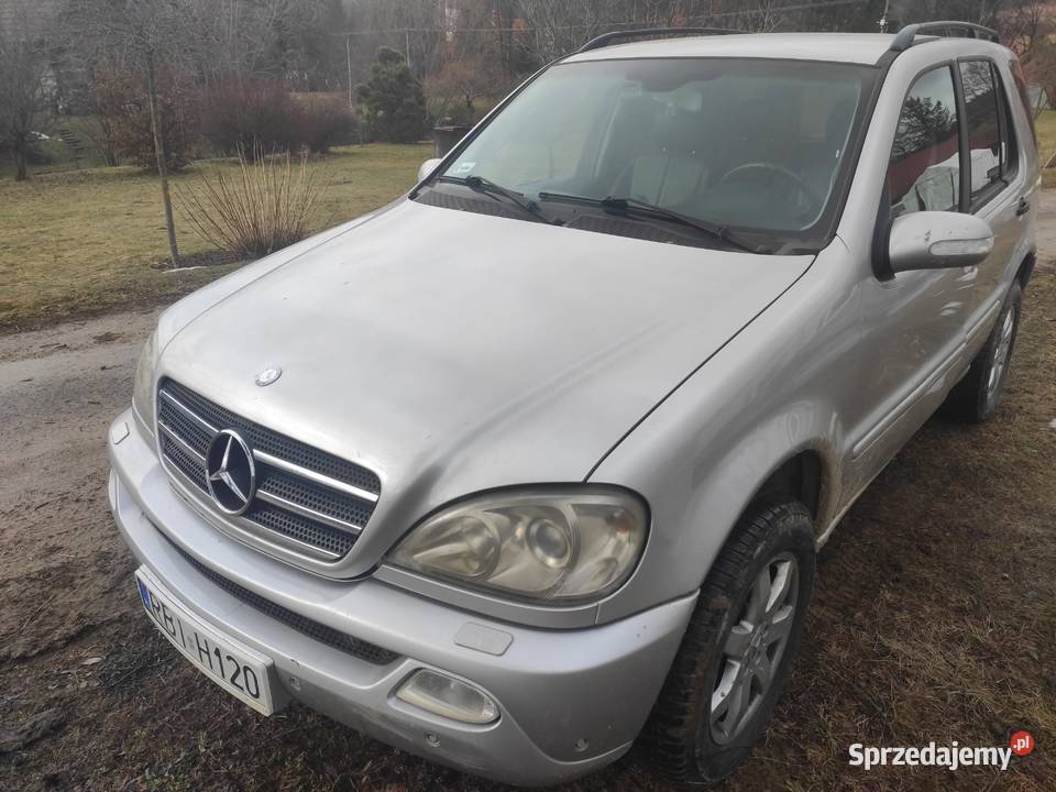 MercedesBenz ML W163 podkarpackie Polana