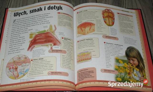 Ciało CzłowiekaZestaw2 Książki Łódź