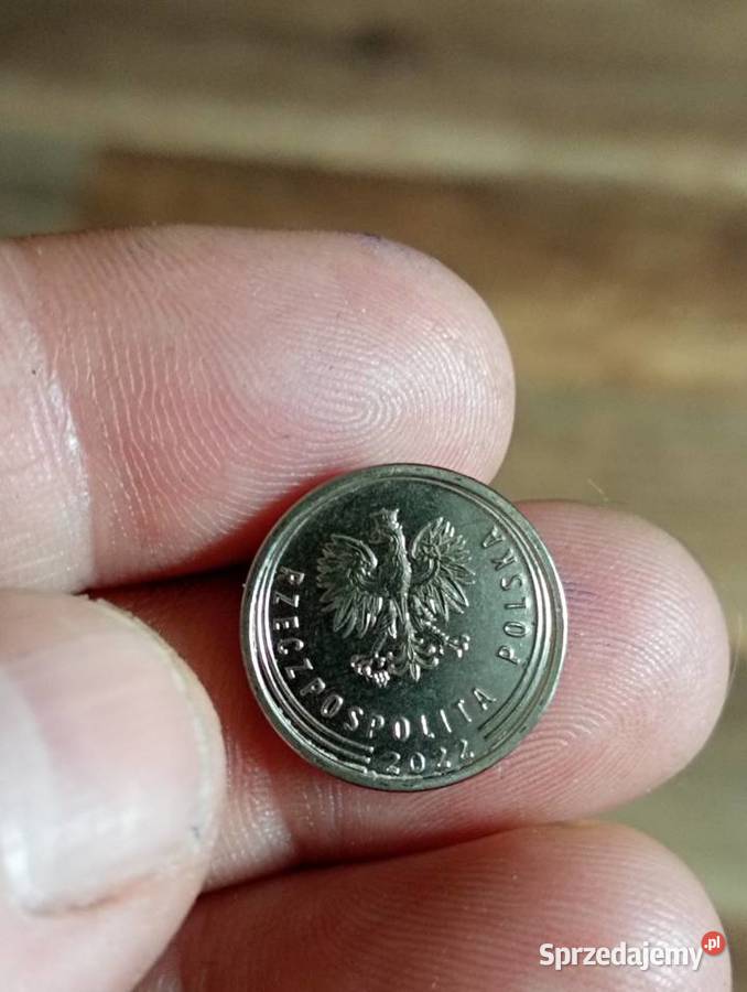 sprzedam 10 gr 1922 r DESTRUKT lubelskie Chełm sprzedam