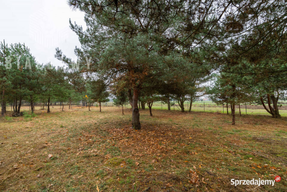 Grunt 934m2 Jachranka