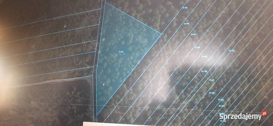 Działka leśna 5000m2 Zuzanów gmina Sobienie