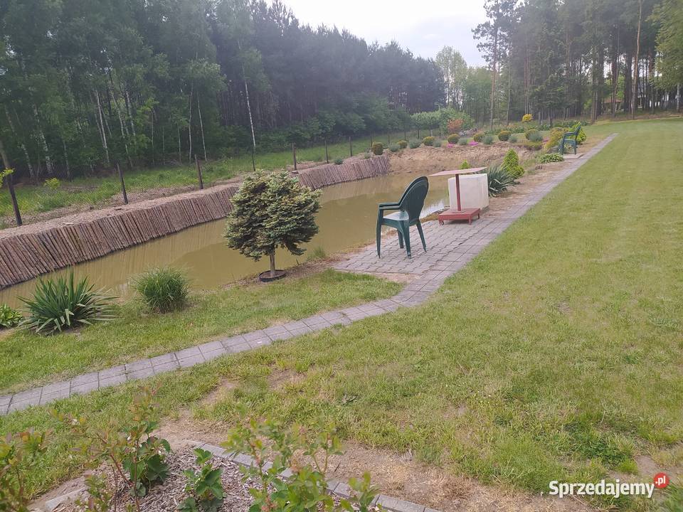 Działka rekreacyjna budowlana łódzkie