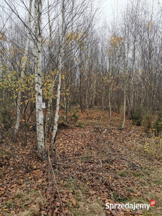Działka budowlana z wz 750m2 Grabie Osada 7