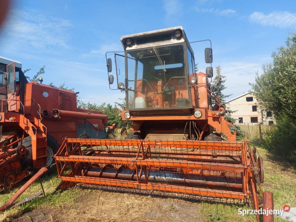 Bizony z 056 Zbożowe Konin