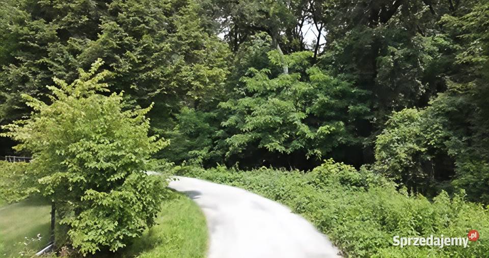 Działki budowlane Bratucice gmina Rzezawa