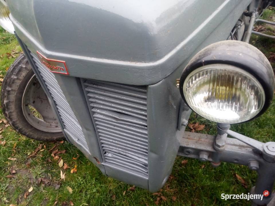 Ferguson tea 20 1951 zarejestrowany