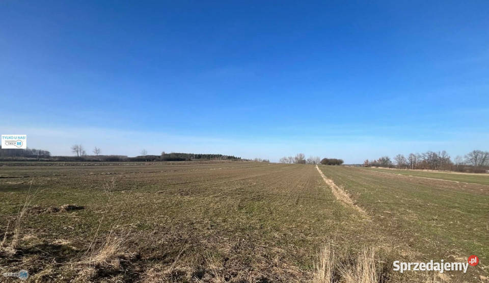 sprzedaży działki Gnojno 5800m2