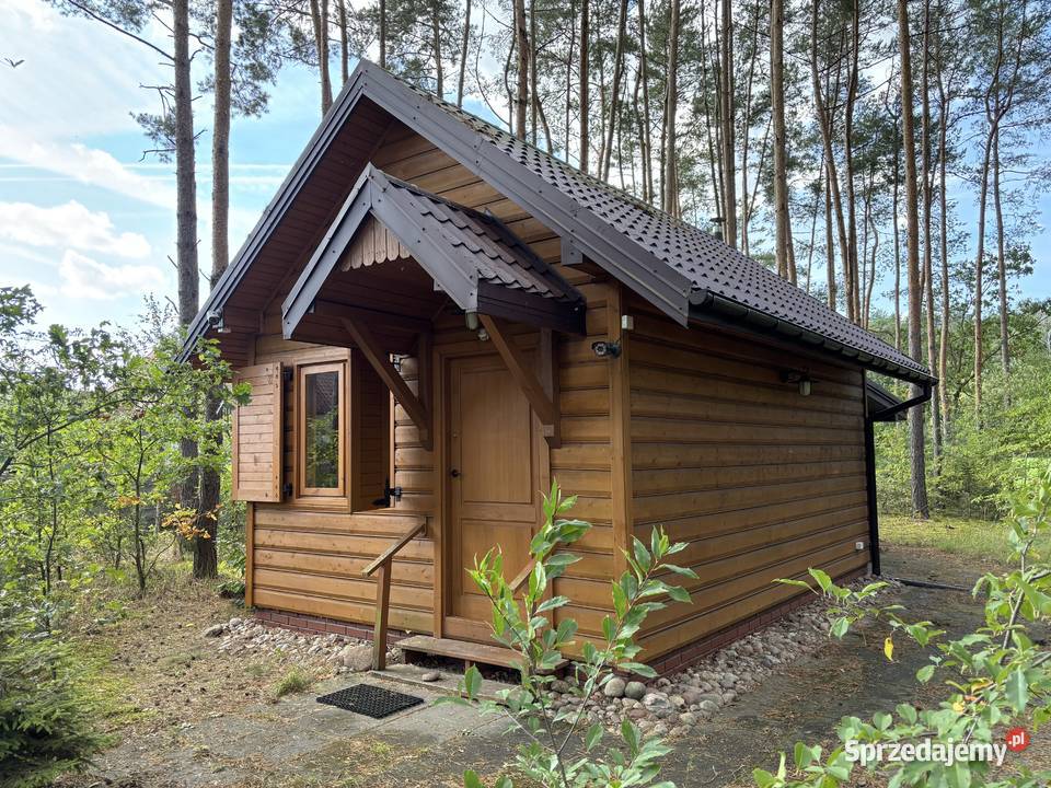 Działka w lesie z domkiem rzeką Warta Drobnice