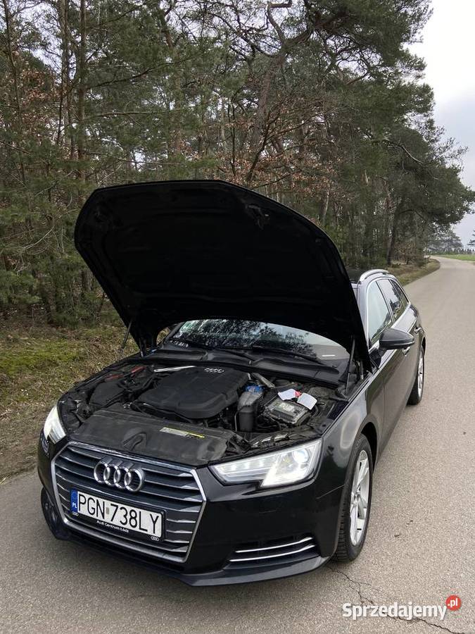 Audi A4 B9 20 190 koni Stronic Salon Polska przyciemniane szyby Niechanowo