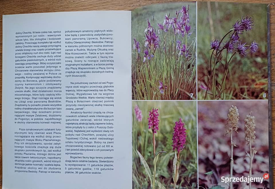 Chrzanowskie osobliwości przyrodnicze przewodnik