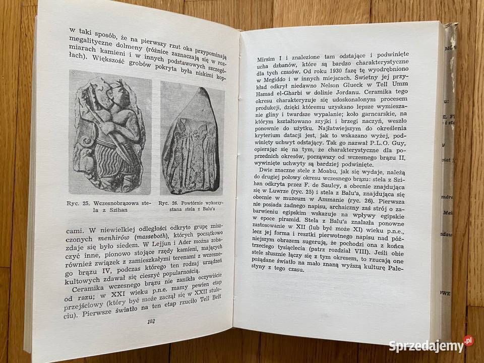 William Foxwell Albright Archeologia Palestyny twarda z obwolutą Katowice