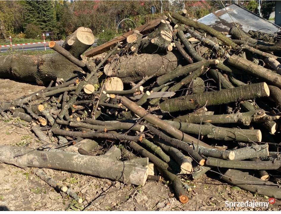 Drewno opalowe na opal jesion Rzeszów