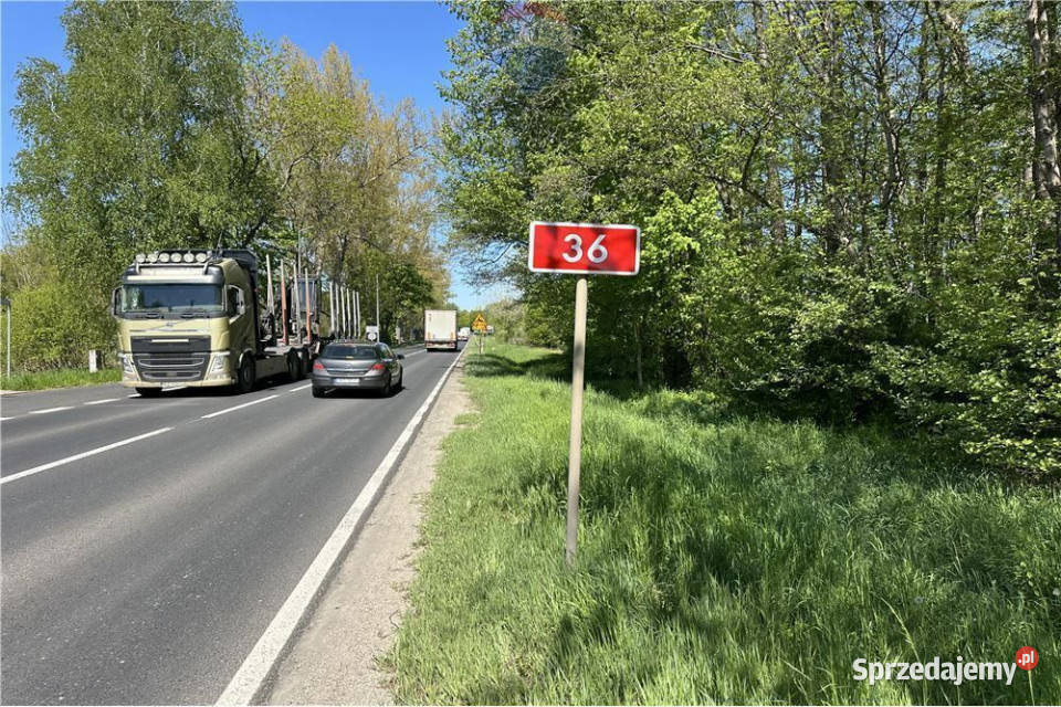 Tereny produkcyjno magazynowo usługowe DK 36