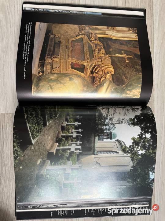 Nekropolie Adam Bujak historia, archeologia Książki naukowe i popularnonaukowe kujawsko-pomorskie Kruszwica