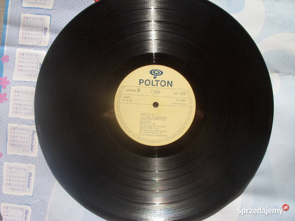WINYL LP REDA NOCA 1985 Wołów sprzedam