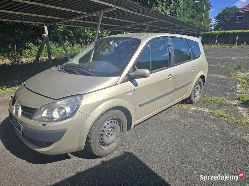 Reno scenik 2Dci dizel autoat 150 7 miejsc brązowy Scenic Słubice