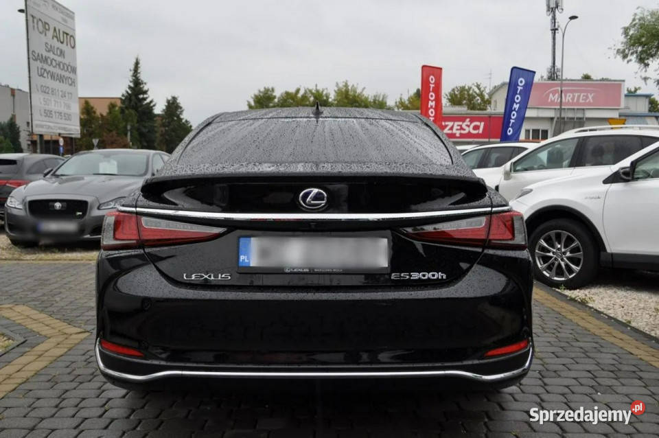Lexus ES300 LEXUS ES 300h Hybryd Business hybryda Warszawa