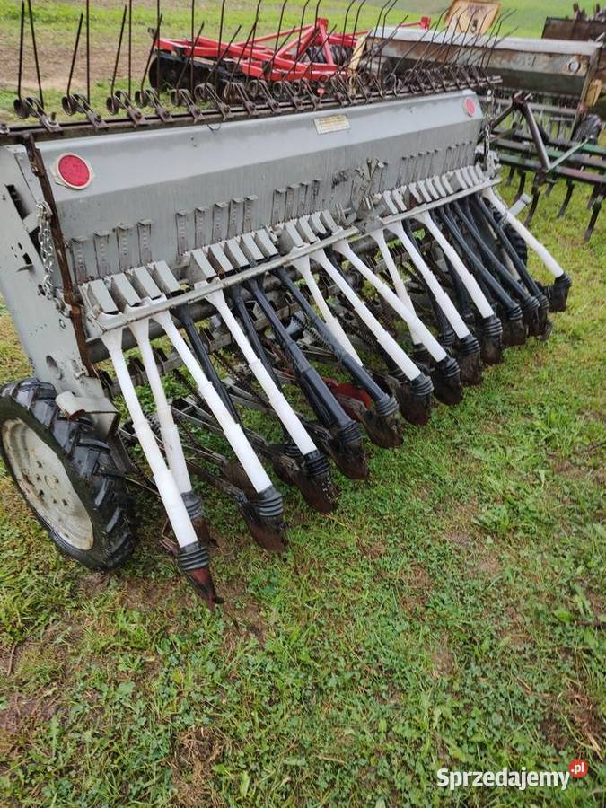 Siewnik Poznaniak Śniadka Druga