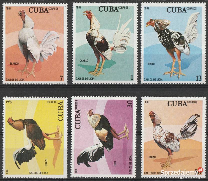 KUBA KOGUTY 1981 CZYSTE Filatelistyka Łódź