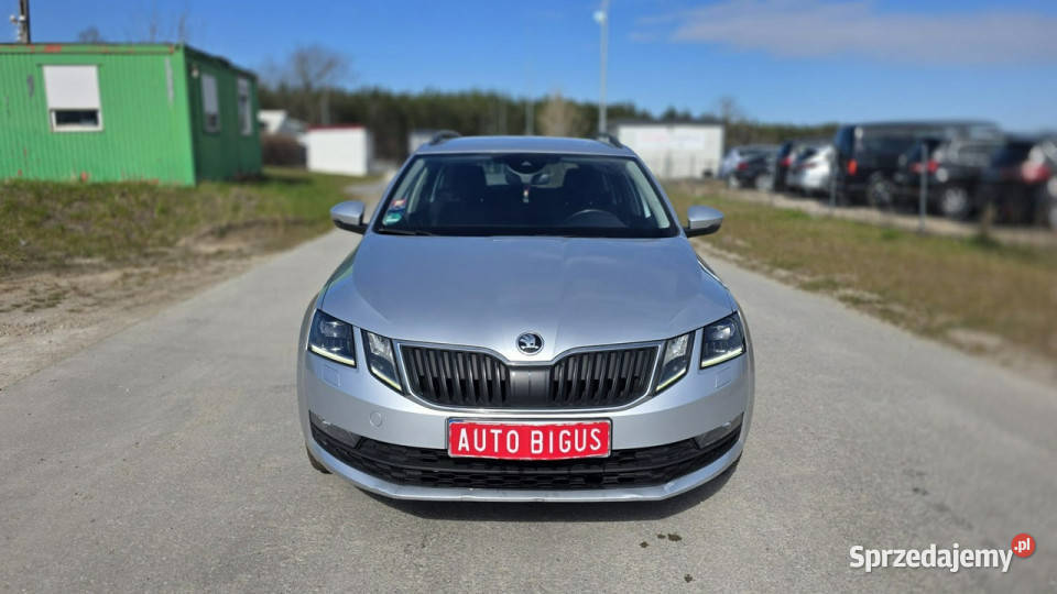 koda Octavia Dsg Duża Navi Bixenon III 2013 światła przeciwmgielne