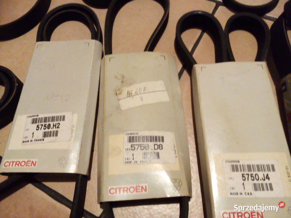 Pasek klinowy wielorowkowy CitroenPeugeot wielkopolskie Leszno