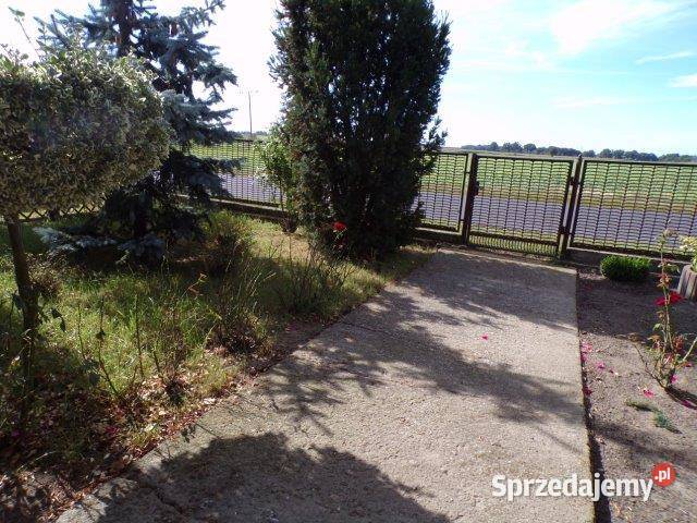 Syndyk sprzeda nieruchomość w Ostrowąsach, gm. Milicz