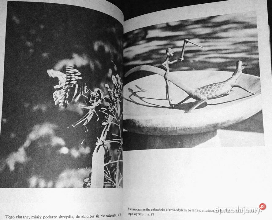 Nowa przygoda Gwinea Arkady Fiedler miękka Chełm