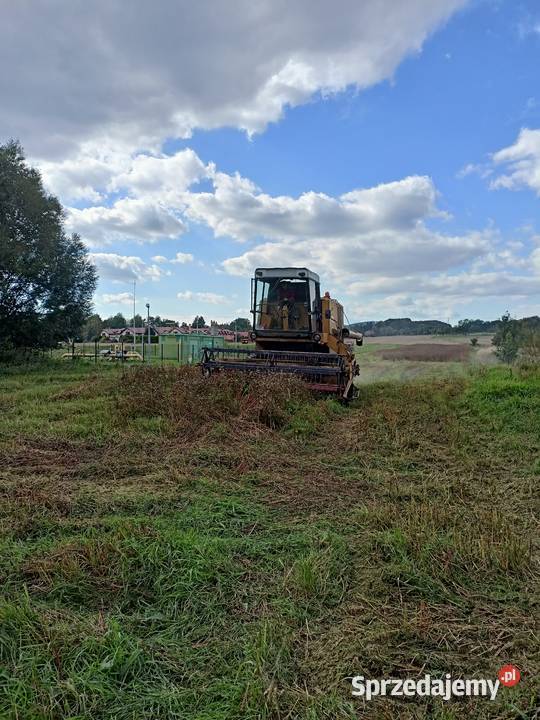 Sprzedam kombajn zbożowy bizon Z056 super Wałbrzych sprzedam