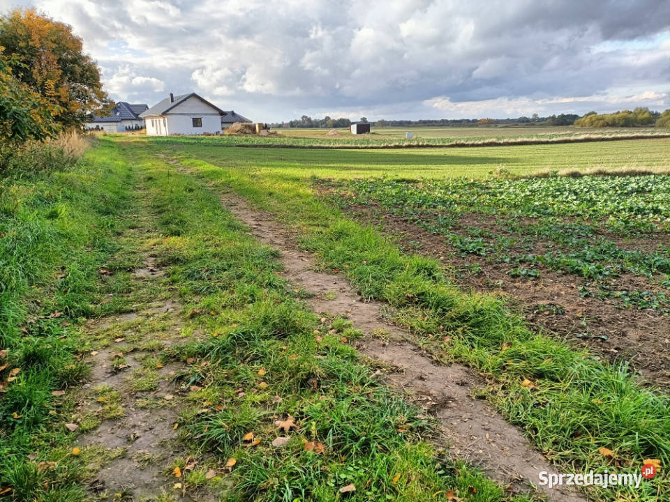 Działka rolna w tym budowlana około 050ha 40m2 11000m2 Ludwin sprzedam