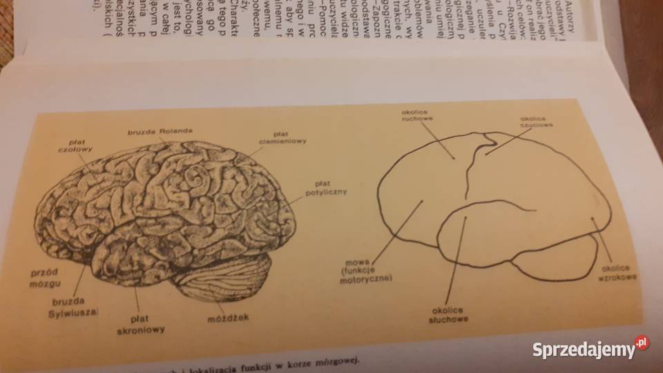 Podstawy psychologii nauczycieli Podręczniki