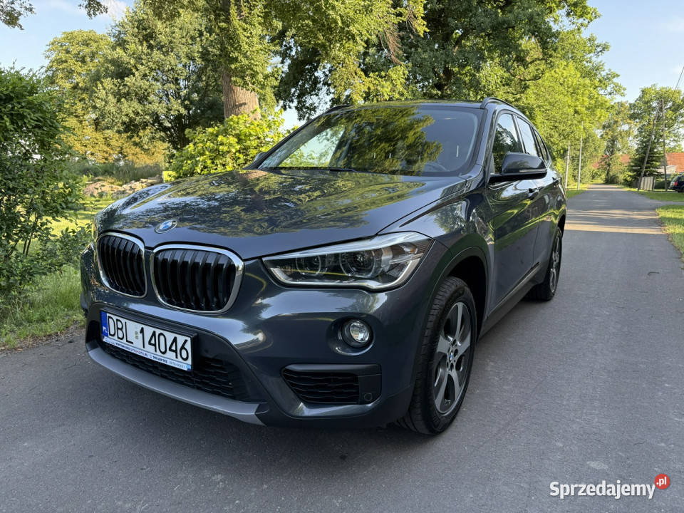 BMW X1 20d B47 sDrive Kamera Duże Navi podgrzewane fotele X1 Ocice