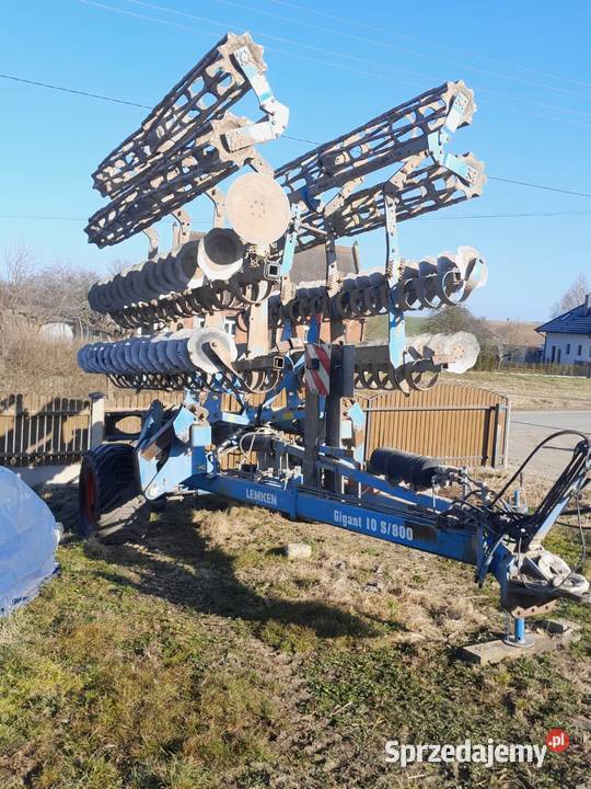 Talerzówka lemken kujawsko-pomorskie Tuchola