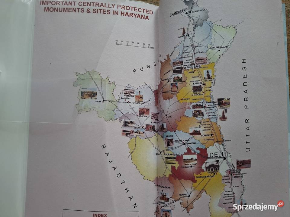 Haryana Archaeological Survey of India przewodnik Kraków