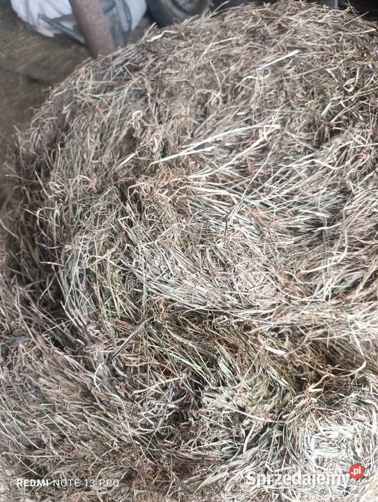 Sianokiszonka 120 łódzkie