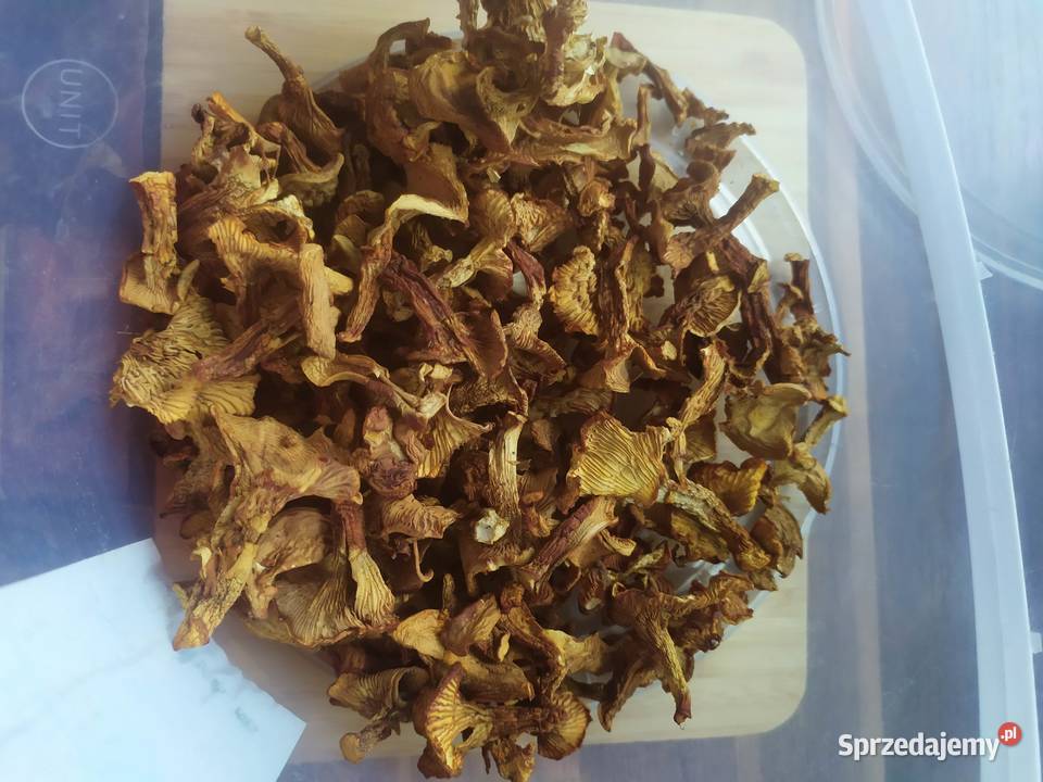 Suszone grzyby kurki pieprznik jadalny 300g Dębno sprzedam