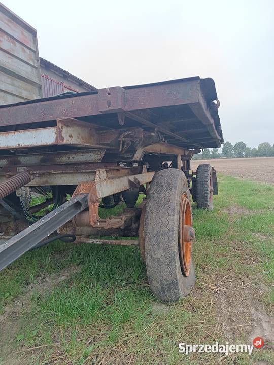 Przyczepa rolnicza Hw60 wywrotka Ifa wielkopolskie Piła sprzedam