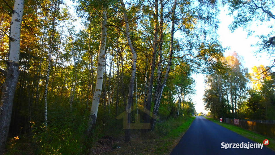 Działka budowlana w Niechnabrzu Niechnabrz