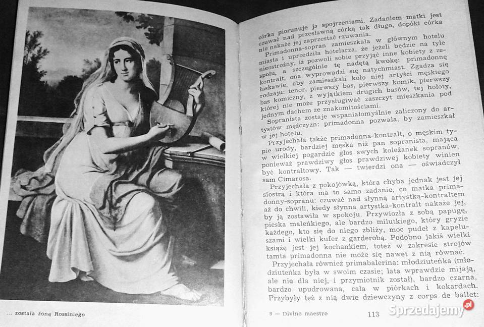 Divino maestro Powieść o Rossinim Arnaldo lubelskie Chełm