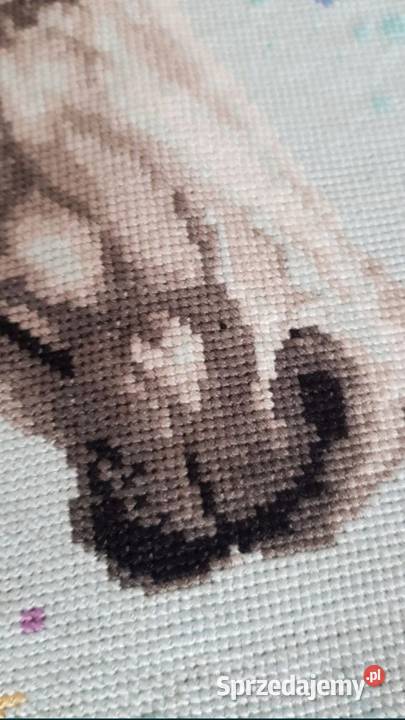 Haft krzyżykowy obraz koń RĘCZNIE ROBIONY Obrazki i obrazy