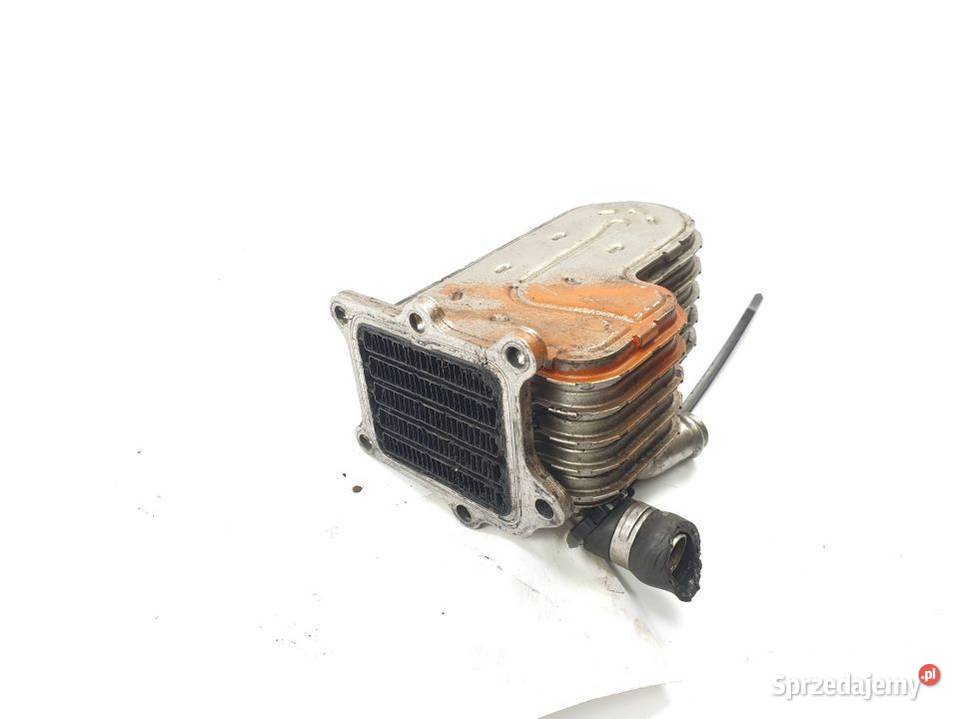 CHŁODNICZKA SPALIN AUDI A8 D3 II LIFT 057131512K kujawsko-pomorskie Lipno